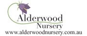 Alderwood Nursery