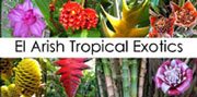 El Arish Tropical Exotics