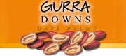 Gurra Downs