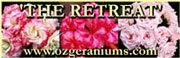 The Retreat Pelargoniums