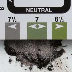 Soil ph Test Kit