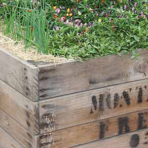 Timber Box Raised Garden