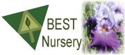 Best Nursery Bearded iris Specialists