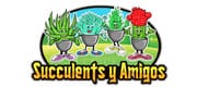 succulents y amigos