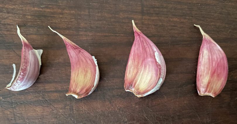 Different Garlic Cloves - Bigger is Best