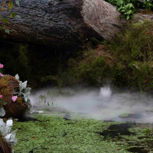 Mystical Pond
